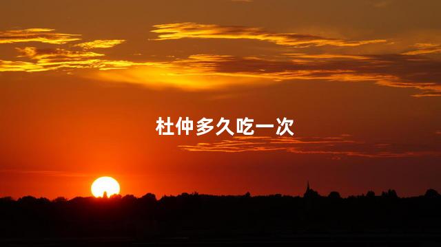 杜仲多久吃一次
