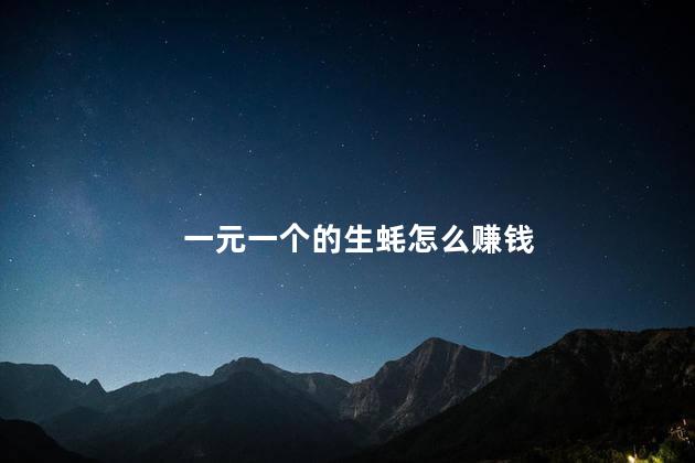 一元一个的生蚝怎么赚钱