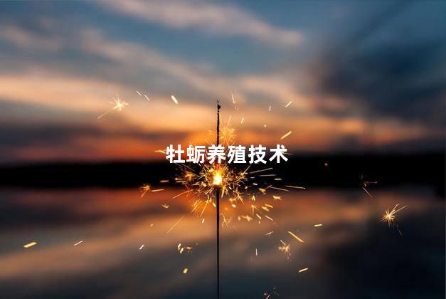 牡蛎养殖技术