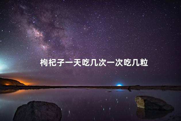 枸杞子一天吃几次一次吃几粒