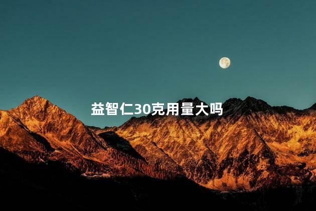 益智仁30克用量大吗