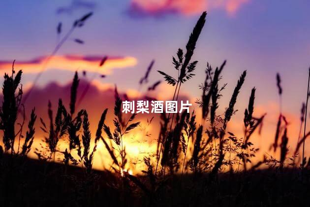 刺梨酒图片