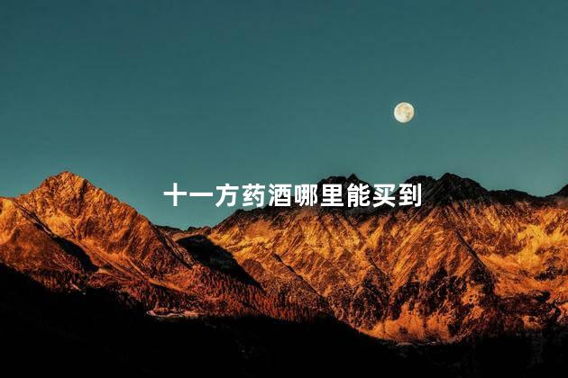 十一方药酒哪里能买到