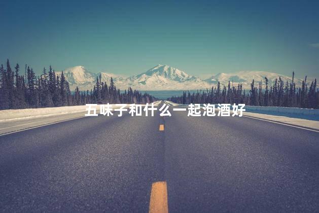 五味子和什么一起泡酒好