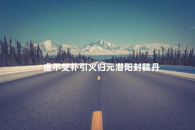 虚不受补引火归元潜阳封髓丹