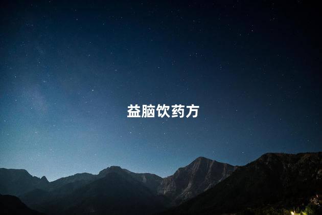 益脑饮药方