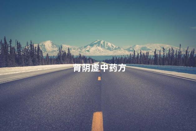 肾阴虚中药方