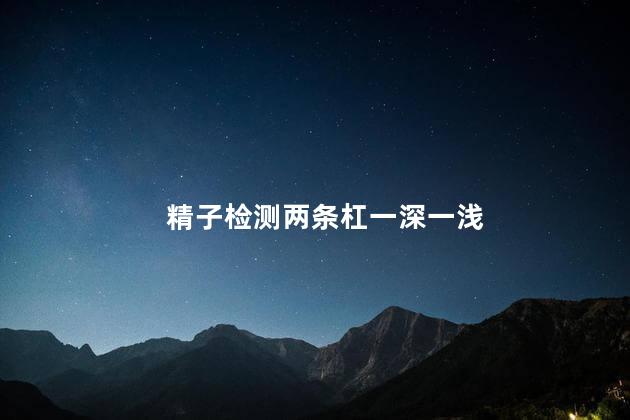 精子检测两条杠一深一浅
