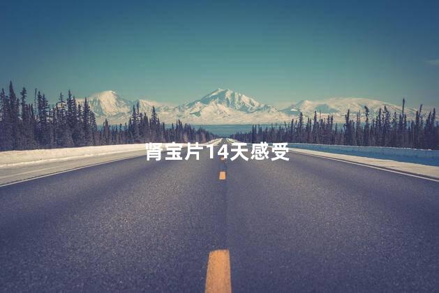 肾宝片14天感受