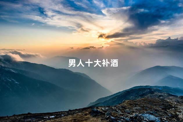 男人十大补酒