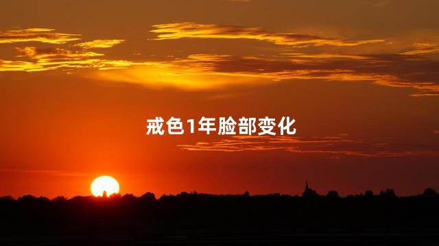戒色1年脸部变化