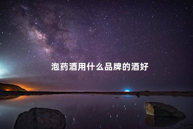 泡药酒用什么品牌的酒好