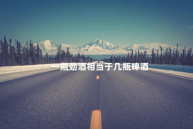 一瓶劲酒相当于几瓶啤酒