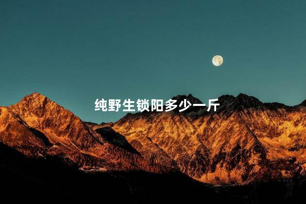 纯野生锁阳多少一斤