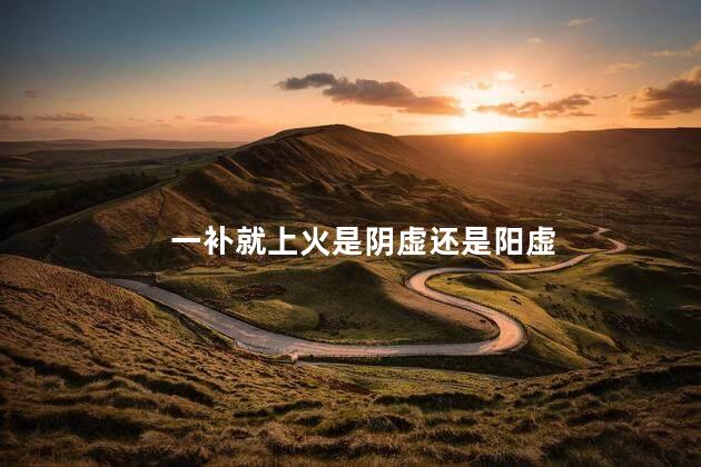 一补就上火是阴虚还是阳虚