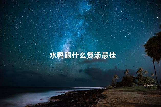 水鸭跟什么煲汤最佳