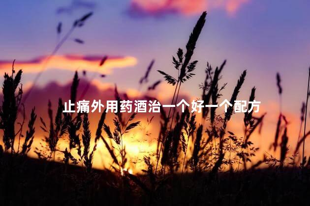 止痛外用药酒治一个好一个配方