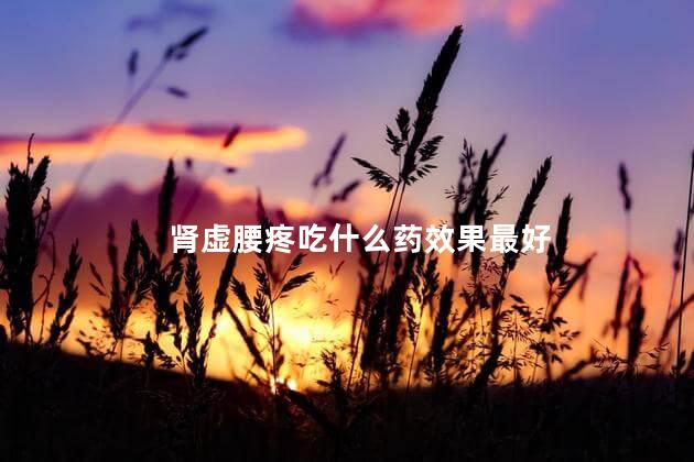 肾虚腰疼吃什么药效果最好