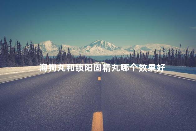 海狗丸和锁阳固精丸哪个效果好