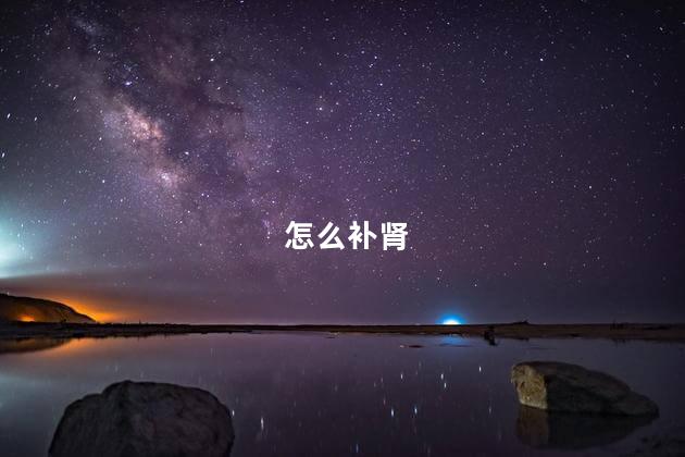 怎么补肾