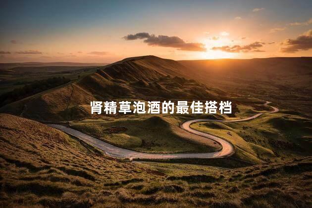 肾精草泡酒的最佳搭档