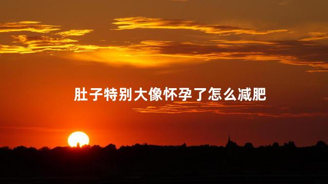 肚子特别大像怀孕了怎么减肥