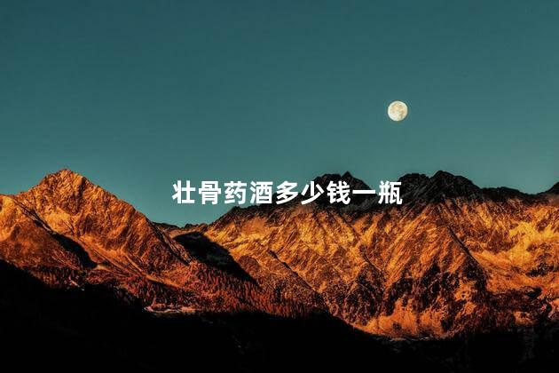 壮骨药酒多少钱一瓶