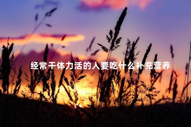 经常干体力活的人要吃什么补充营养