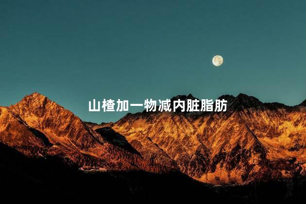 山楂加一物减内脏脂肪