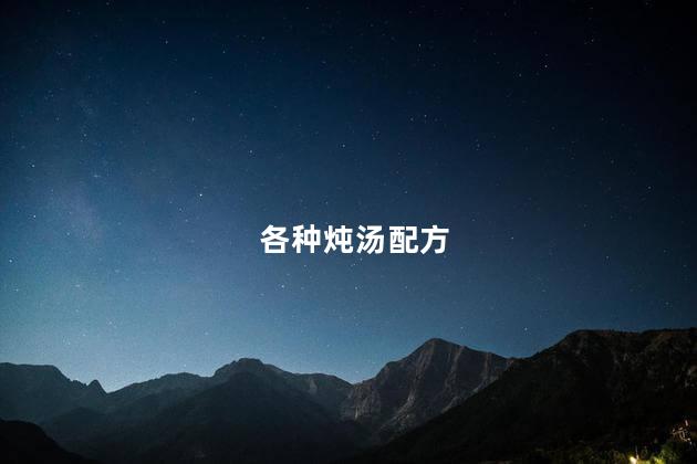 各种炖汤配方