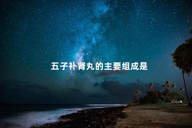 五子补肾丸的主要组成是