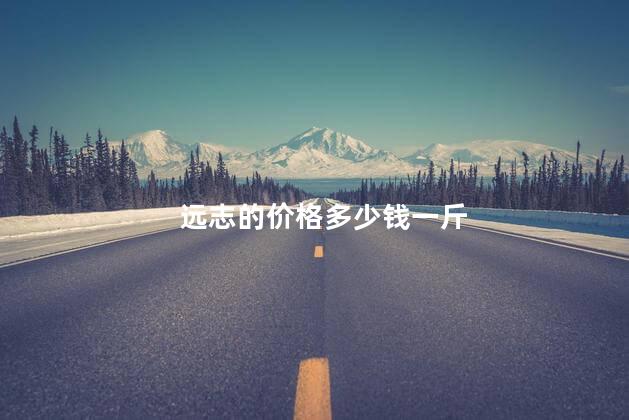 远志的价格多少钱一斤