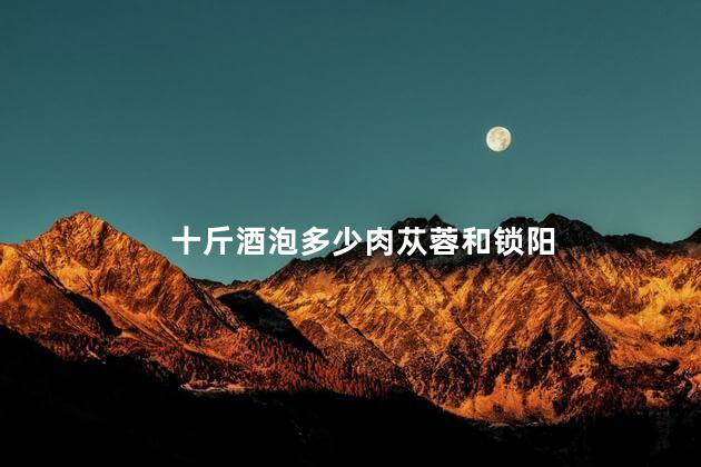 十斤酒泡多少肉苁蓉和锁阳