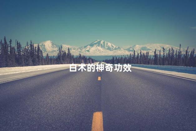 白术的神奇功效
