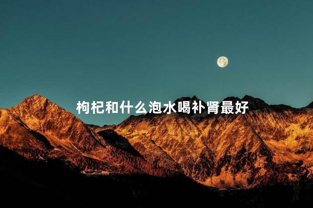 枸杞和什么泡水喝补肾最好