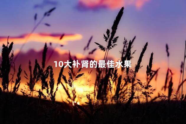 10大补肾的最佳水果