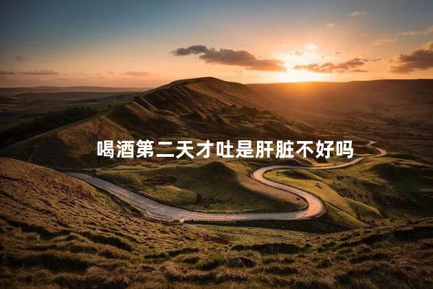 喝酒第二天才吐是肝脏不好吗