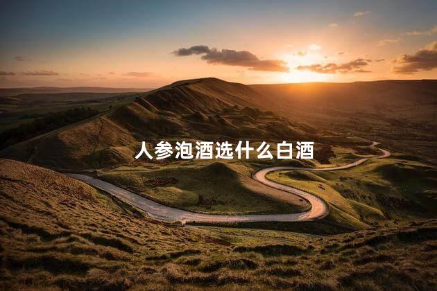 人参泡酒选什么白酒
