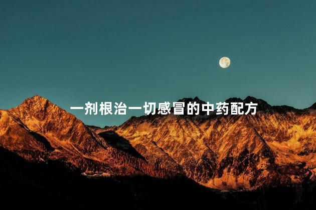 一剂根治一切感冒的中药配方