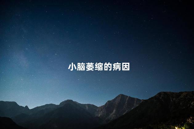 小脑萎缩的病因