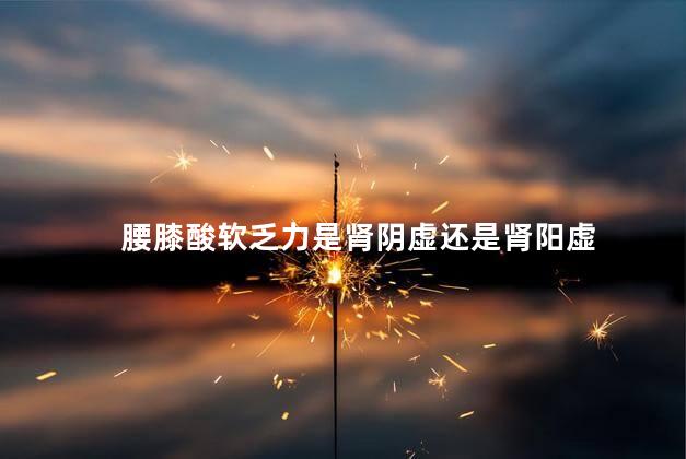 腰膝酸软乏力是肾阴虚还是肾阳虚
