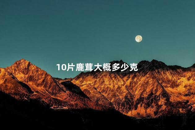 10片鹿茸大概多少克