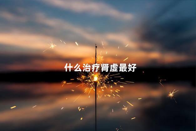 什么治疗肾虚最好