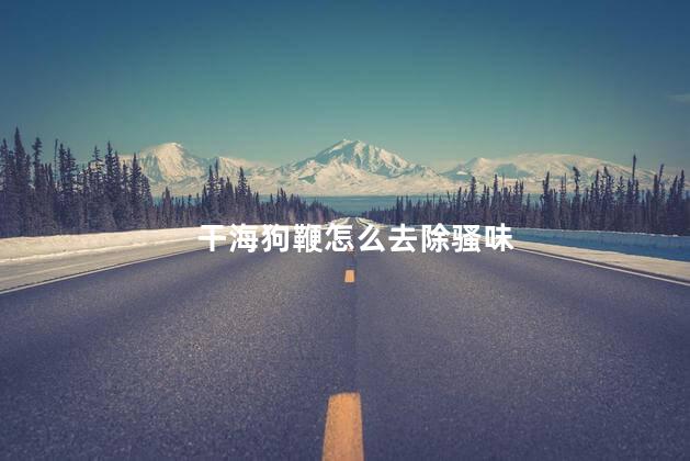 干海狗鞭怎么去除骚味