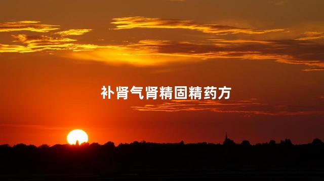 补肾气肾精固精药方