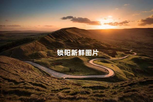 锁阳新鲜图片