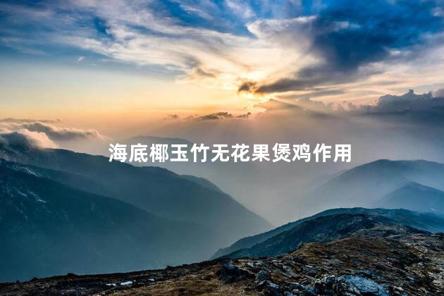 海底椰玉竹无花果煲鸡作用
