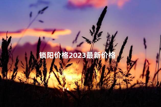 锁阳价格2023最新价格