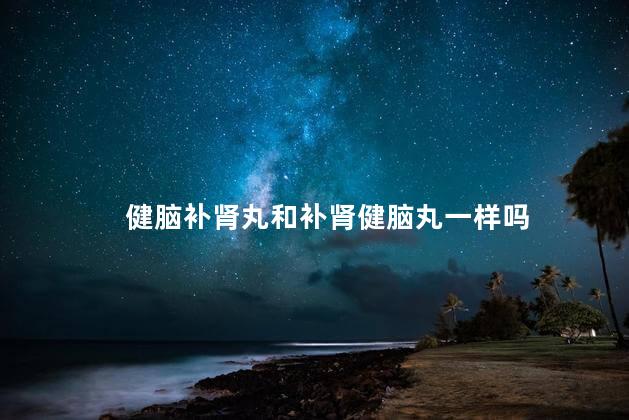 健脑补肾丸和补肾健脑丸一样吗