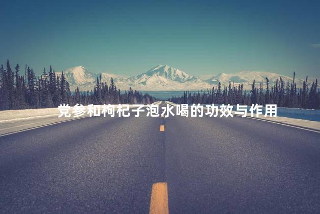党参和枸杞子泡水喝的功效与作用